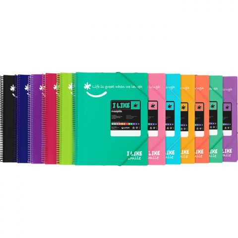 CARPETA 60 FUNDAS MAXIPLAS LIKE2